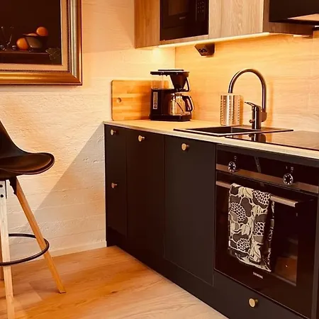 Appartement Uusi Loft-asunto Tampereella
